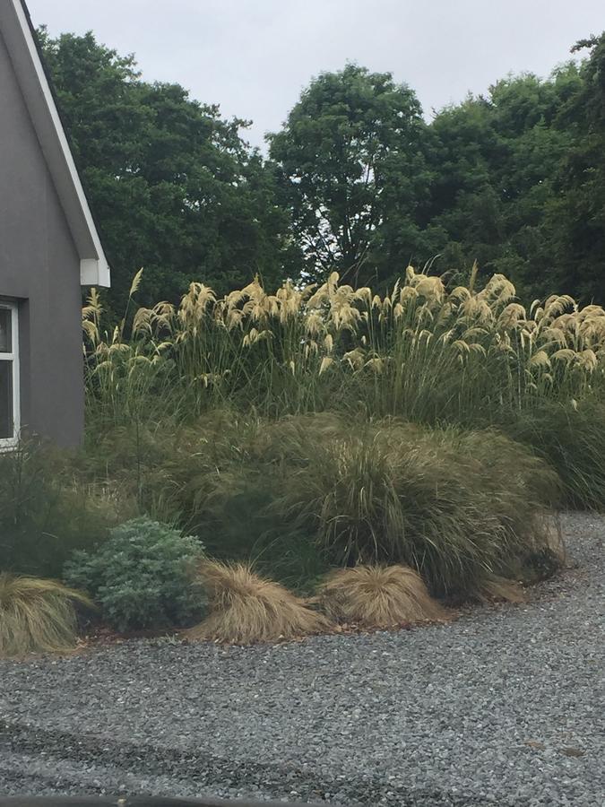 Bed and Breakfast The Wendy Hoose Nairn Exterior foto